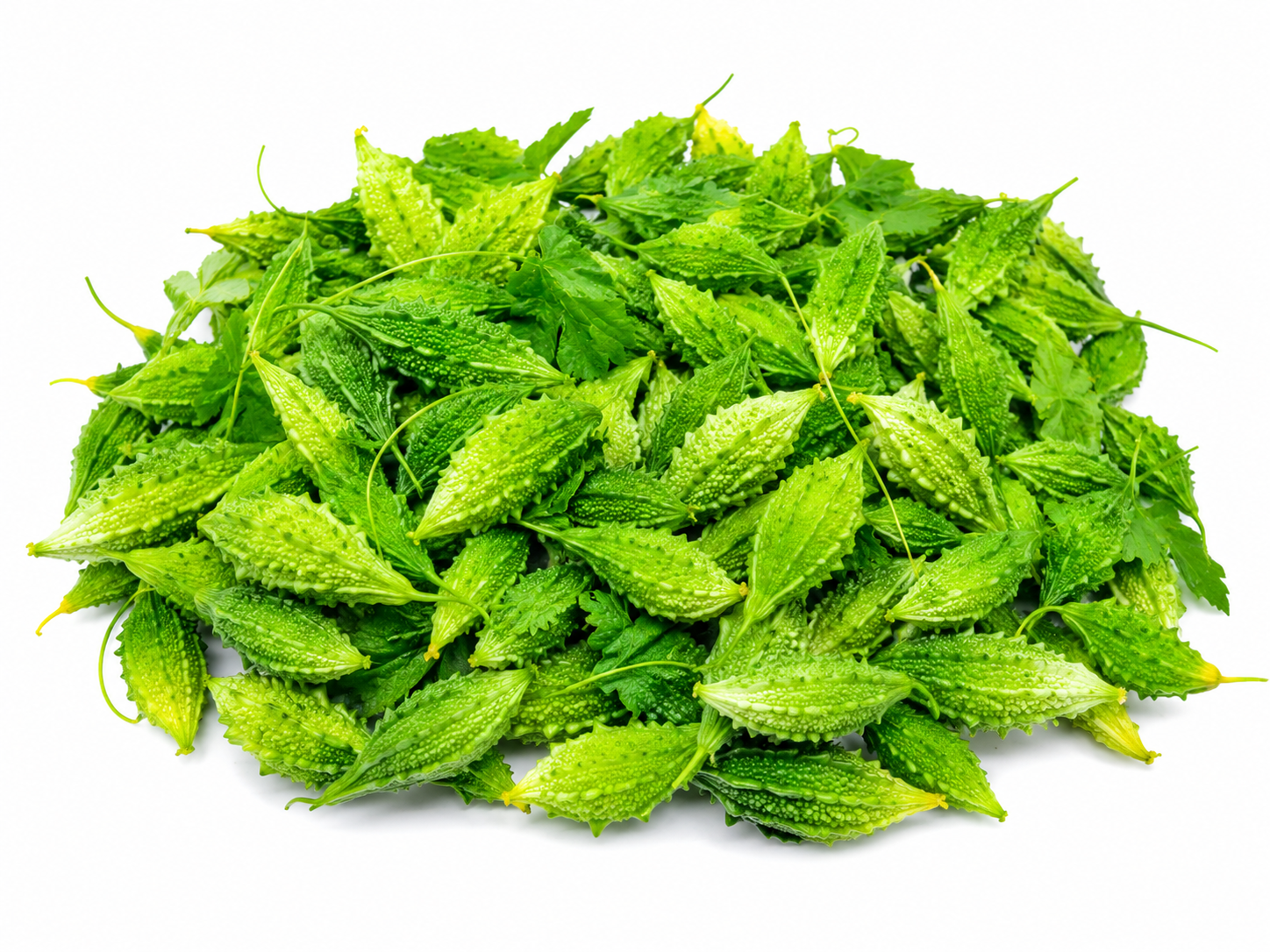 Jumer Tita Korola (Jummo Tide Gulo)